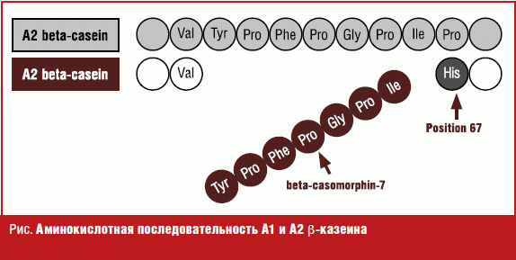 Аминокислотная последовательность А1 и А2 ?-казеина