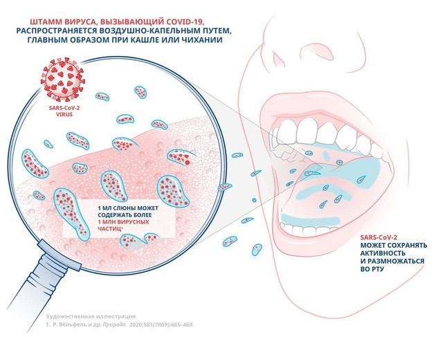 Влияние ополаскивателя для полости рта на снижение вирусной нагрузки SARS-CoV-2 в качестве меры дополнительной защиты от COVID-19<sup>1</sup>
